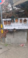 Nistkästen Futterheuser Eichhörnchen Häuser Niedersachsen - Lüneburg Vorschau