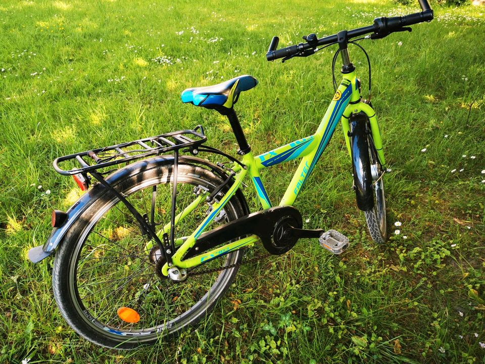 Fahrrad Falter in Wunstorf