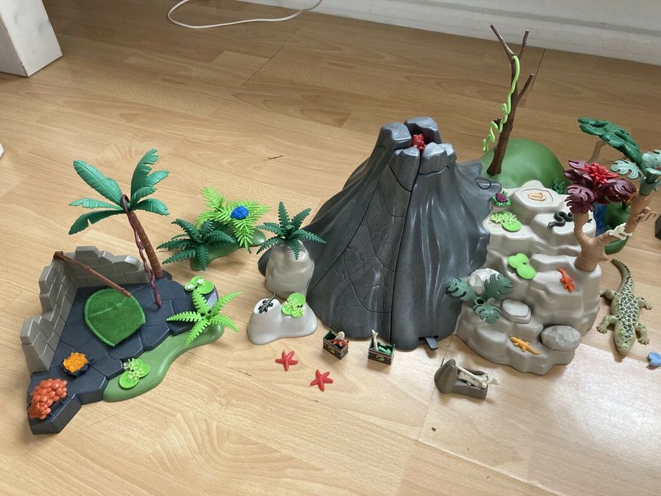 Playmobil Dino/Camping in Kempten