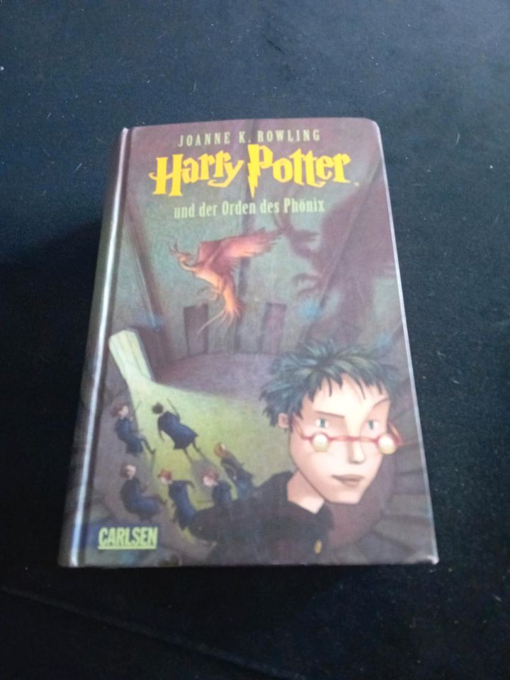 Harry potter buch in Achern