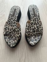 Armando Pollini Damen Schuhe Sandalen Größe 39 neuwertig Hessen - Baunatal Vorschau