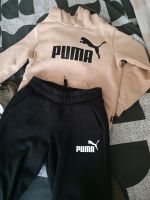 Puma Anzug Nordrhein-Westfalen - Krefeld Vorschau