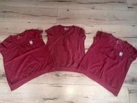 ENGELBERT STRAUS POLO T SHIRT SET KONVOLUT XS S 34 36 TOP z HOSE Bayern - Neukirchen b Hl Blut Vorschau