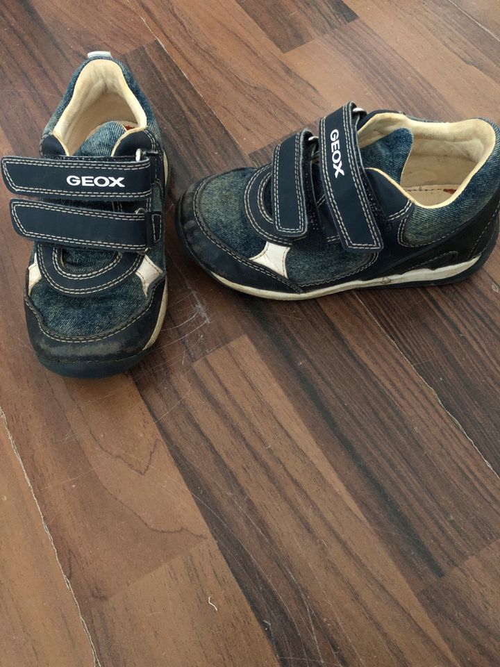 Geox Schuhe Gr.25 in Dreieich