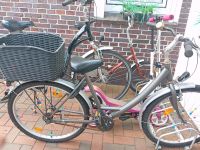 Mädchen Fahrrad 24 Zoll Niedersachsen - Westoverledingen Vorschau