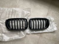 X3/X4 original BMW M-Performance Grill Rheinland-Pfalz - Hamm am Rhein Vorschau