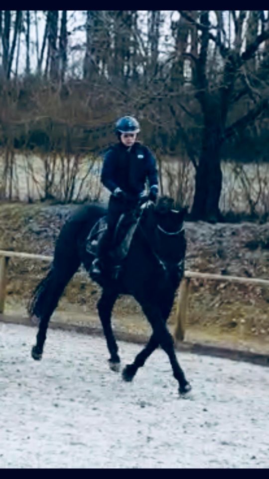 Pferdetraining in Schwarzenbach am Wald