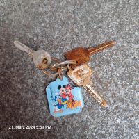 Schlüssel gefunden Norddorf / Overhagen Nordrhein-Westfalen - Erwitte Vorschau
