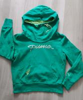 Puma Sweatshirt Gr. S Damen Brandenburg - Potsdam Vorschau