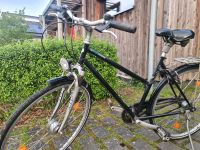 **Damenrad     vsf fahrradmanufaktur** Niedersachsen - Spelle Vorschau