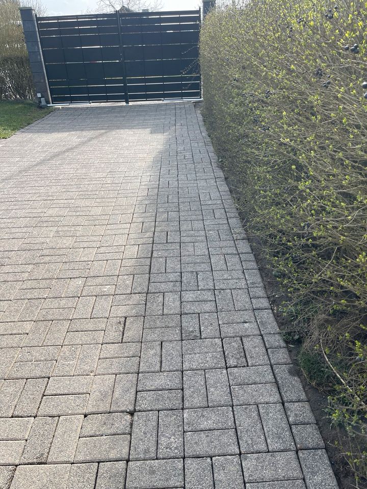 Steinreinigung für Ihre Terrasse, Einfahrt Gehwege, Fassade in Mayen