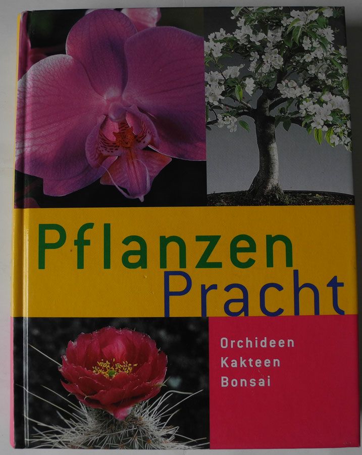 Pflanzenpracht; Orchideen Kakteen Bonsai; Jörn Pinske, in Neustadt an der Weinstraße