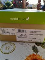 Waldläufer Lederschuh Weite H Essen-Borbeck - Bochold Vorschau