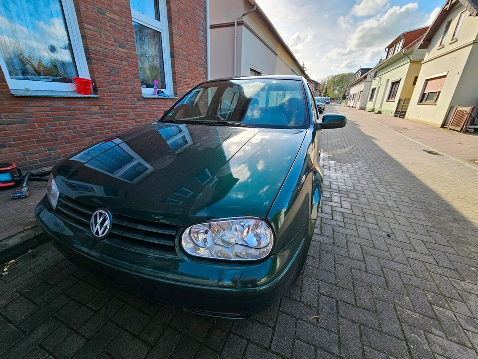 Golf 4, 1.6 16V Nicht Fahrbereit! in Elsfleth