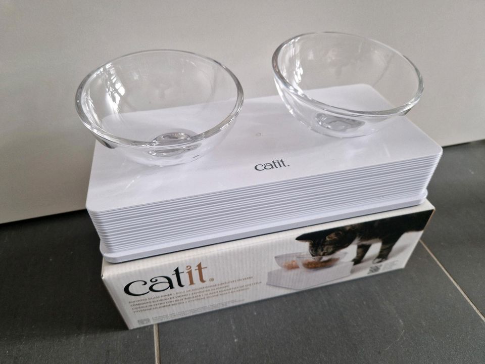 Katzen Fress Napf erhöht Glas in Ense