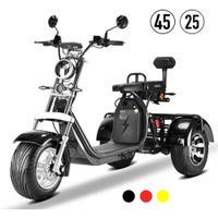 E-Trike CP-3 25 o. 45KM/H 2.0 kW Seniorenmobil 3 Rad Elektro-Fahr Hessen - Hanau Vorschau