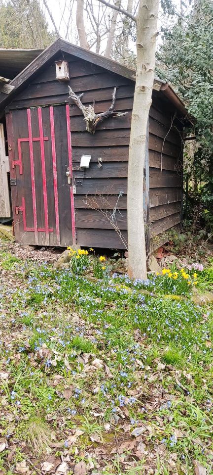 Gartengrundstück Ferienstück  800 m2 Unterreichenbach in Neulingen