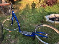 Erwachsenen Tretroller Rollerbyke blau, wenig genutzt Bayern - Uttenreuth Vorschau