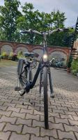 Damen E-bike Giant Twist double Bayern - Amberg Vorschau