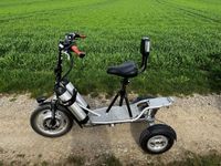 Lyric Freeliner Orange Bike Board E-Roller Dreirad Campingroller Baden-Württemberg - Dettingen an der Iller Vorschau