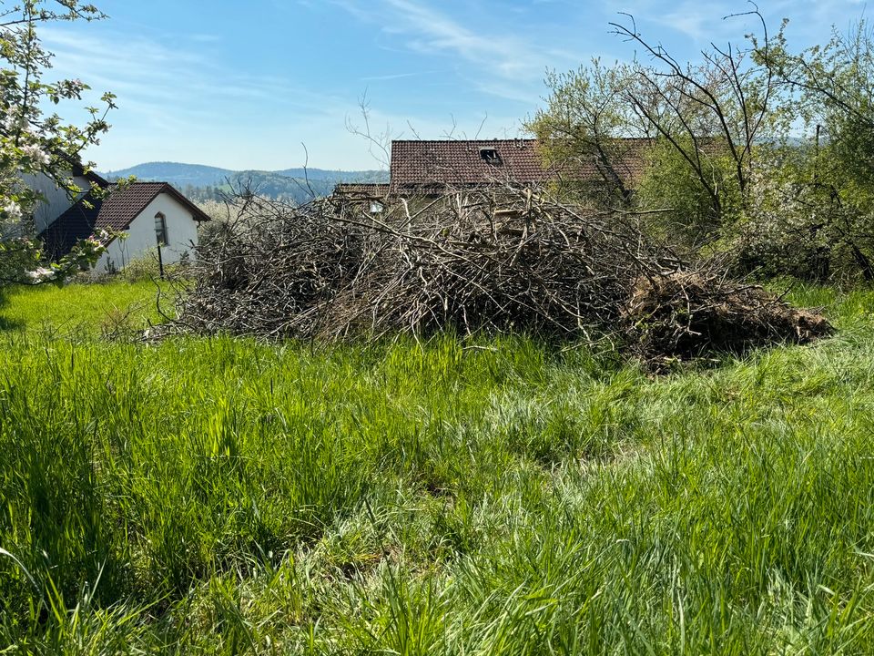 Holz für Hackschnitzel zu verschenken in Schönberg