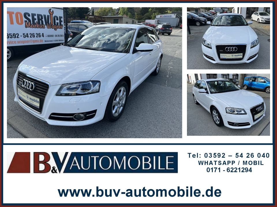 Audi A3 Sportback 2.0 TDI quattro Xenon Garantie in Wilthen