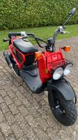 Honda Zoomer NPS 50 Rheinland-Pfalz - Malborn Vorschau