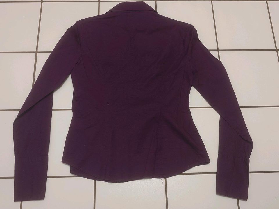 CALVIN KLEIN JEANS Bluse Damen Gr. 38 M lila violett Langarmbluse in Herrenberg