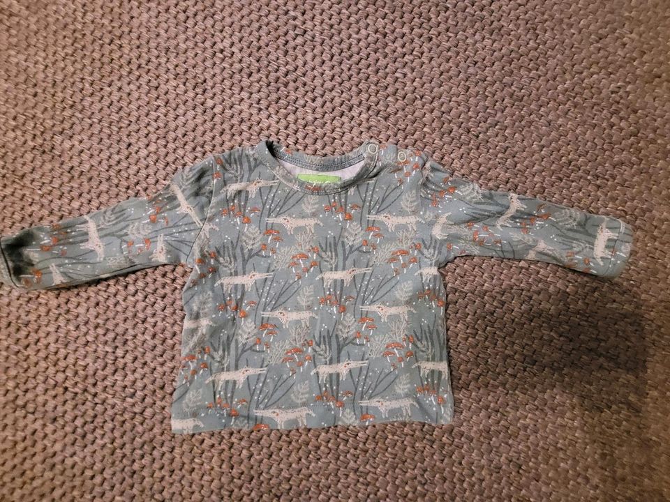 Oberteil Pullover Lily balou 62 Wald Wolf Mini Boden in Wolfsburg