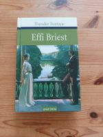 Buch Effi Brist von Theodor Fontane Hessen - Kelsterbach Vorschau