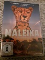 Maleika von Matto Barfuss DVD NEUWERTIG Bayern - Randersacker Vorschau