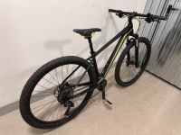 Cube MTB 29er Mountainbike Hardtail LTD Race 43 cm Shimano XT Schleswig-Holstein - Norderstedt Vorschau