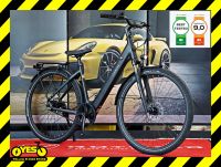 TENWAYS CGO800S e-Bike 19kg Reingewicht Carbon-Riemen 155 ~ 190cm Sachsen-Anhalt - Staßfurt Vorschau