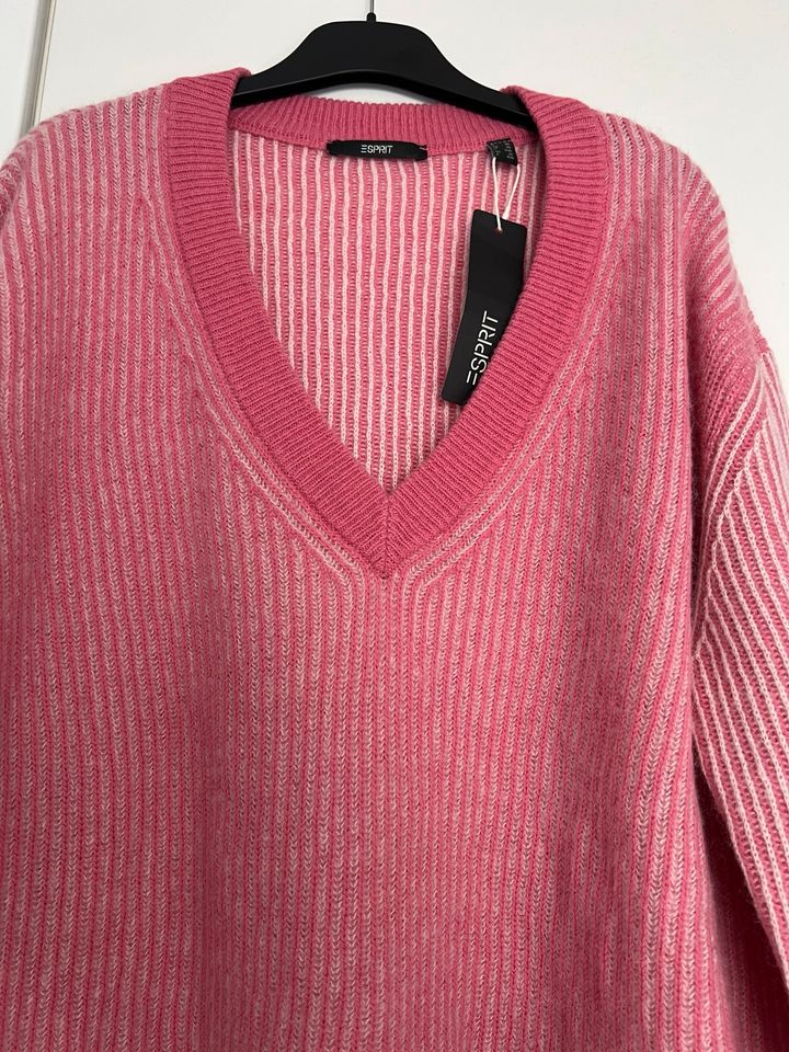 Esprit Pullover Damenpullover Xl 44 in Essen