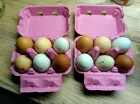 Easter eggs Thüringen - Remptendorf Vorschau