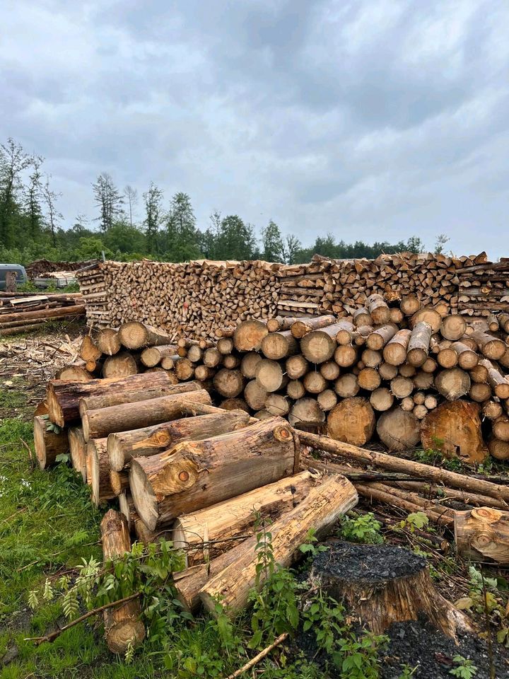 Fichtenbrennholz in Burbach