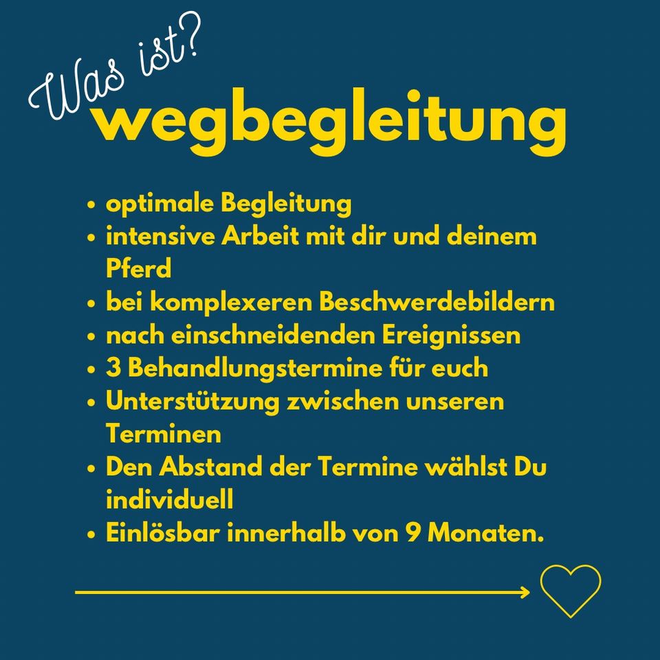 Pferdeosteopathie, intensive Begleitung, Trauma sensibel in Egestorf