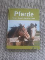 Pferde Rassen Haltung Sportarten Pflege Sachsen - Machern Vorschau