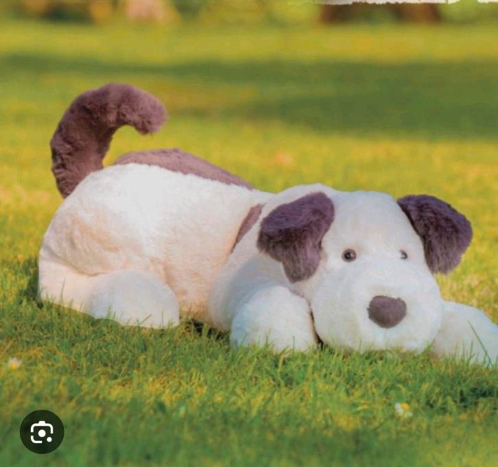 SUCHE JELLYCAT DASHING DOG! Large/huge in Zirndorf