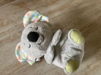 Fisher-Price Einschlafhilfe „Koala“ Neuwertig Saarland - St. Wendel Vorschau