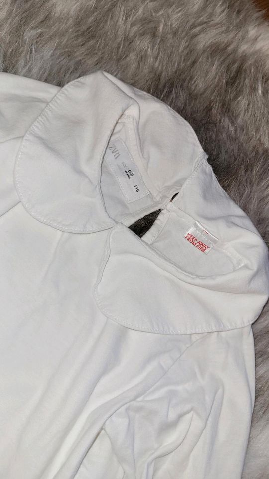 Shirt Zara Größe 116 in Bentzin