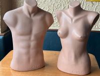 Schaufensterpuppe Schaufenster Puppe Büste Torsos Rheinland-Pfalz - Ludwigshafen Vorschau