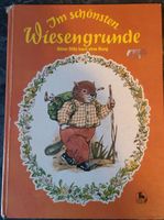 Im schönsten Wiesengrunde Biber Billy baut eine Burg Bielefeld - Bielefeld (Innenstadt) Vorschau