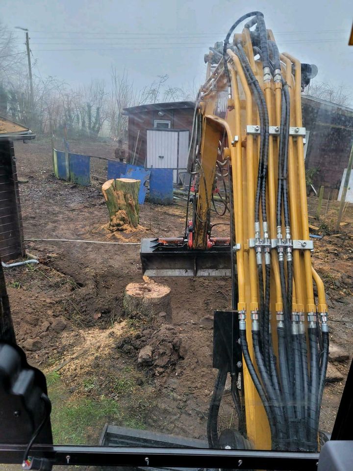 Gartenarbeit Gärtner Hecke schneiden Fläche  roden in Goch