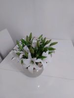 11×künstliche Blumen Lilien weiss Hadern - Blumenau Vorschau