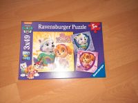 Paw Patrol Puzzle Skye Everest 3x49 Teile Sachsen - Chemnitz Vorschau