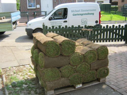 Vertikutieren - Gartenpflege in Halstenbek