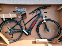 E Bike Lagerverkauf NEU Victoria Bosch Active Line Plus, 500 Wh Niedersachsen - Langenhagen Vorschau