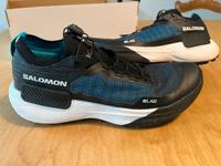 Salomon S/LAB Genesis Trailrunning Schuh Hamburg - Altona Vorschau