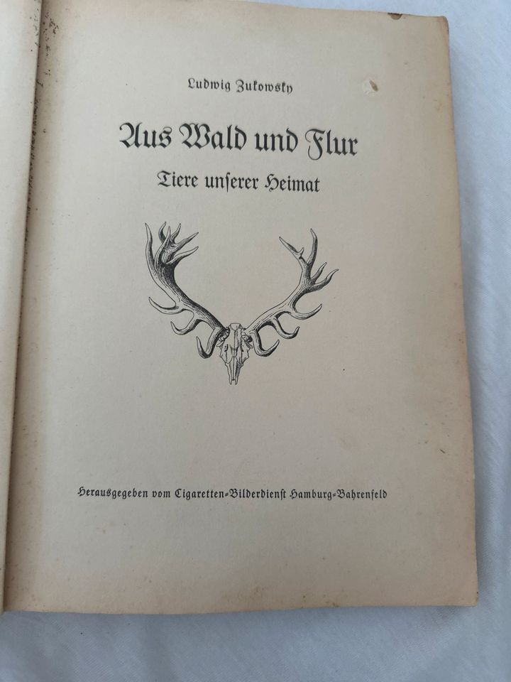 Aus Wald und Flur Buch in Berlin